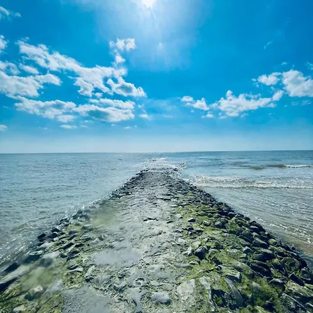 Bleu - A 100 M De La De Berck